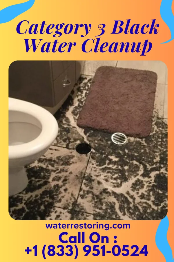 Category 3 Black Water Cleanup in Medina, NY