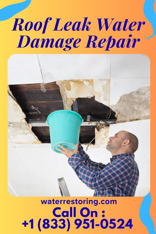 Roof Leak Water Damage Repair in Medina, NY