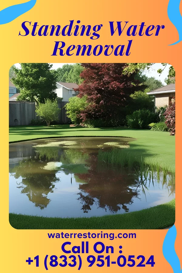 Standing Water Removal in Medina, NY